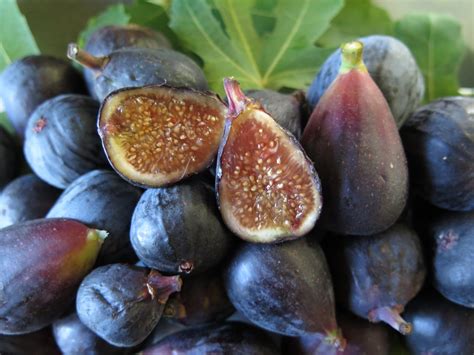 Black Mission Figs Black Mission FIG Jam – INNA Jam + INNA Shrub