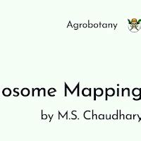 Chromosome Mapping PPT