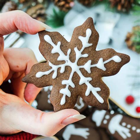 Cocoa and Ginger Xmas Cookies - a Veg Taste from A to Z