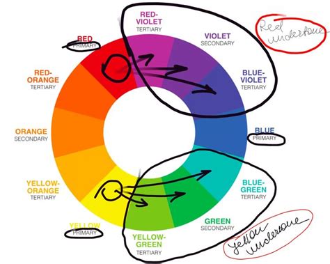 Colour Type 的图像结果