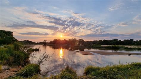 Natural World 的图像结果