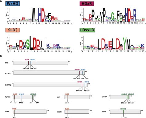WebLogo 的图像结果