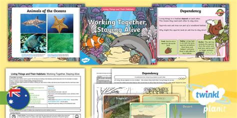 Year 1 Science Living Things and Their Habitats Lesson 5
