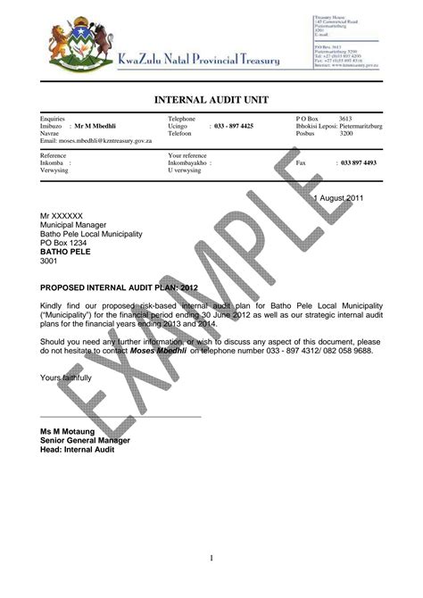 Audit Plan Example 的图像结果