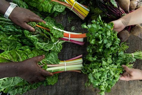 US Local Produce 的图像结果