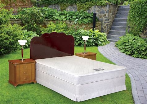 Serta Sertapedic Sertapedic Esteem 8-inch Queen Size Spring Mattress ...