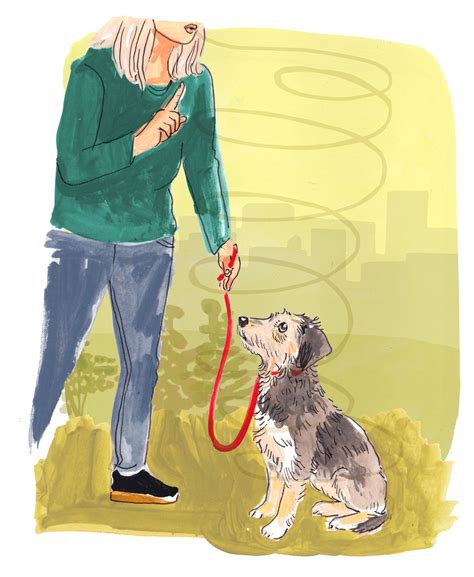 A celebrity dog trainer showed us how to prepare our dog for the ...