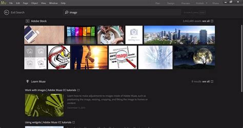 Adobe Muse CC 2018 的图像结果