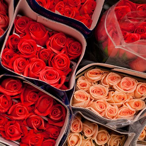 Image result for Flower for Bride Sample