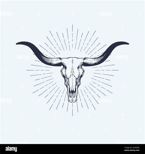 Longhorn Skull Design