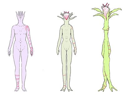 Morphing Objects Animation 的图像结果