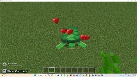 Turtle Tutorial Minecraft 的图像结果