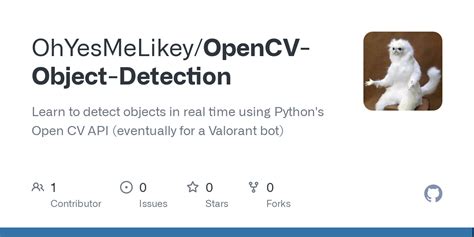 Object Recognition OpenCV Python 的图像结果