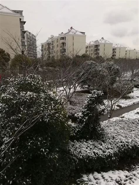 上海2018年的首场大雪，十年难得一见的雪景，上一场大雪在10年前-今日头条