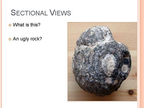 Image result for What Is Section View