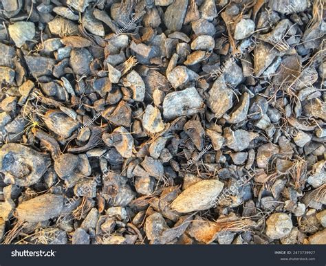 Pile Palm Fruit Shells Dried Palm Stock Photo 2473739927 | Shutterstock