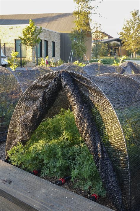 NJ IN LA | Indulging in Excellence: Dinner at Bear at Stanly Ranch, One ...