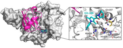 Advances in the Development Ubiquitin-Specific Peptidase (USP) Inhibitors