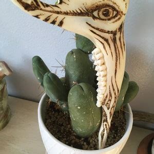 Pyrography On Bone 的图像结果