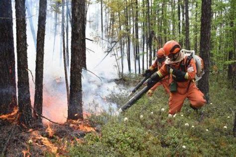 森林火灾频发，预防是关键！ | 北京惠友旺科技有限公司