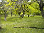 Image result for Neon Number Website Program in Java