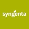 Syngenta India Private Limited - 2025 Insights
