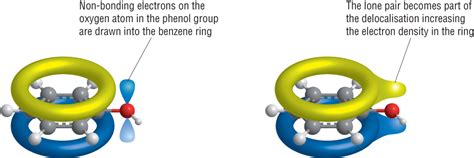 Image result for Tissue Microarray PPT