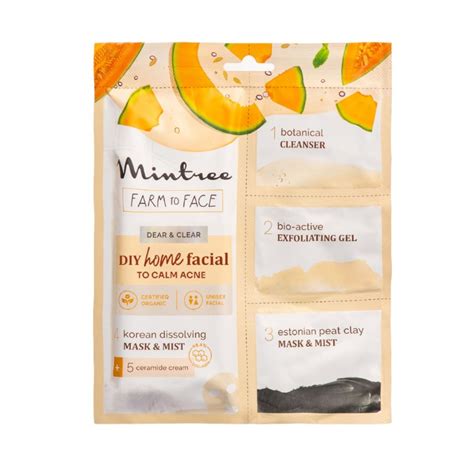 Buy Calming DIY Home Facial (Muskmelon) Online – Mintree