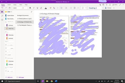 Image result for Link Paragraphs in OneNote