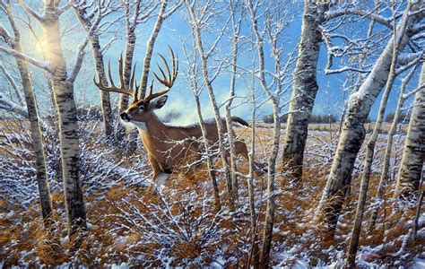 Michael Sieve Milo Hanson & The Hanson Buck | WildlifePrints.com