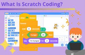 Image result for Script Scratch