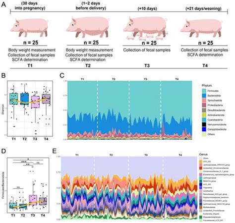 Temporal Dynamics of Fecal Microbiome and Short-Chain Fatty Acids in ...
