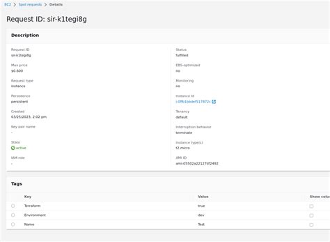 Image result for EC2 Instance Tags