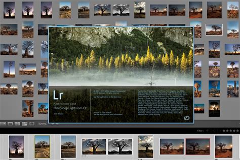Getting it Right in the Digital Camera : What’s New in Lightroom CC Classic