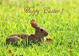 Image result for Easter Bunny Foot Stencil