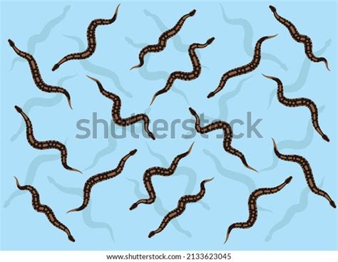 Image result for Ball Python Eating