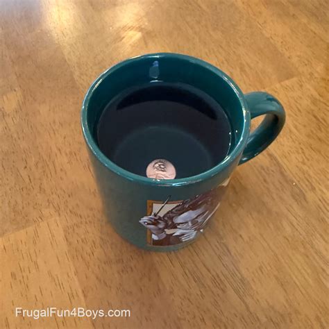 Image result for Refraction Science Project