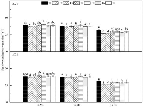 Optimized Tillage Method Increased Rice Yield in Rice Ratooning System