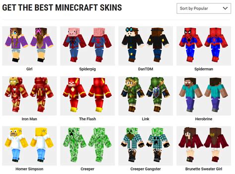 Image result for Minecraft Skins Java Installer