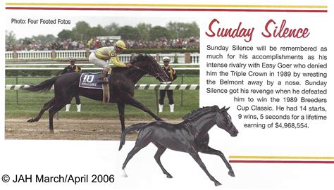Sunday Silence | BreyerHorseRef