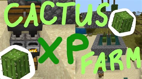 Image result for How to Make a Cactus XP Farm Java