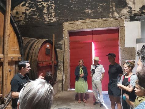 Indulge in the Ultimate Douro Valley Premium Tour: Lunch Cruise and ...