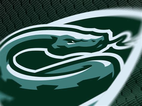 Image result for Red Python Sports Logo