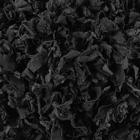 Wakame, alga, cortada, seca, 500 gramos, bolsa | GOURMET VERSAND Tienda ...