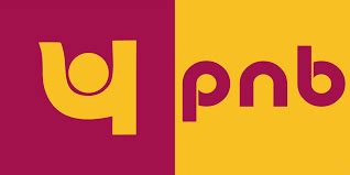 PNB first PSU bank to shift to secure ‘.bank.in’ domain