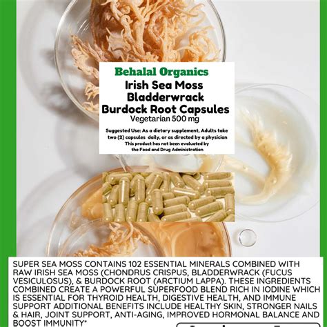 Irish Sea Moss | Bladderwrack | Burdock Root Capsules | Dr Sebi | 100 ...