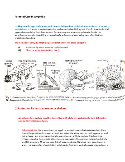 Parental care in amphibians - Parental Care in Amphibia Looking after ...