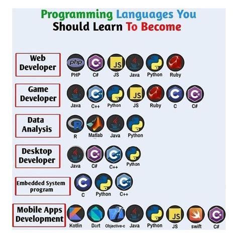 Image result for Python Programmer Bio