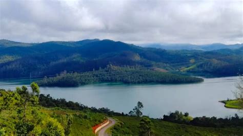 3 Indian Tourists Rescued From Forest In Nepal 10 hours After They Went ...