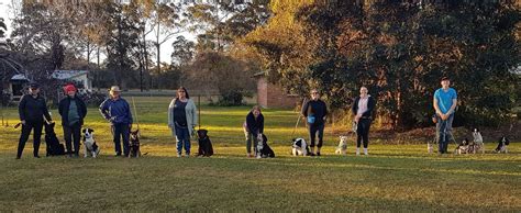 Canine Good Citizen & Behaviour in Public Areas , Fotheringham Park ...